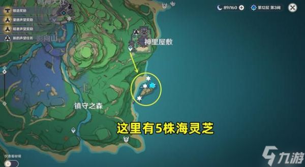 原神海灵芝分布图一览：2.8海灵芝采集点路线图分享