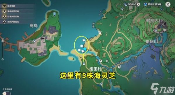 原神海灵芝分布图一览：2.8海灵芝采集点路线图分享