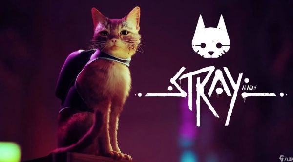 《Stray》Momo的笔记在哪