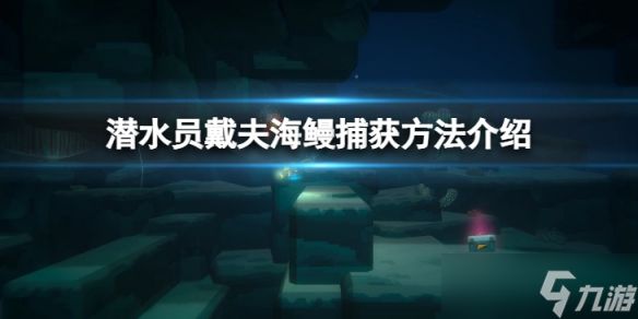 《潜水员戴夫》海鳗怎么抓？海鳗捕获方法介绍