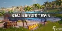 《盗贼之海》新手要了解什么 新手需要了解内容