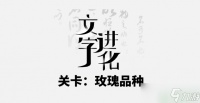 文字进化玫瑰品种通关攻略