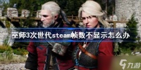 巫师3次世代steam帧数不显示怎么办 巫师3次世代steam帧数不显示解决方法