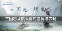 三国志战棋版曹纯值得培养吗