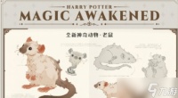 哈利波特魔法觉醒老鼠神奇动物怎么获得