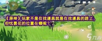 《原神》玩家不是在找道具就是在找道具的路上，但忧昙花的位置在哪呢
