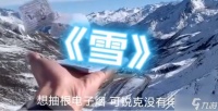 雪豹distance歌词是什么