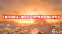 《塞尔达传说王国之泪》古代勇者之魂获取方法