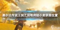 《塞尔达传说王国之泪》塔邦挞小麦获取位置 塔邦挞小麦在哪