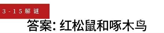 《重返未来1999》3-15意料之外的听众谜题答案