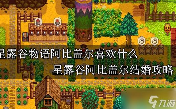 stardew valley如何娶阿比盖尔 星露谷阿比盖尔结婚攻略