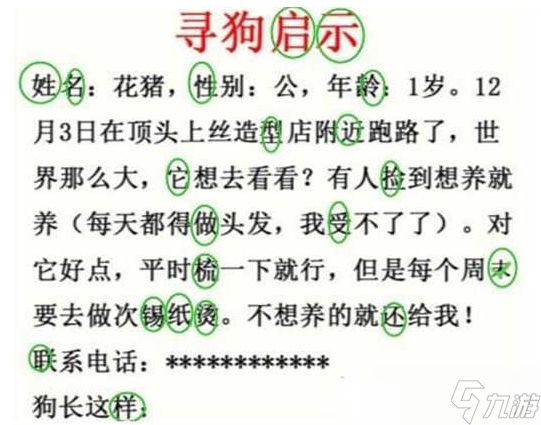 疯狂梗传寻狗启示怎么过关 疯狂梗传寻狗启示通关答案