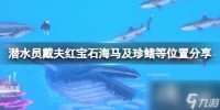 《潜水员戴夫》虎尾海马在哪里抓 红宝石海马及珍鳍等在哪里推荐