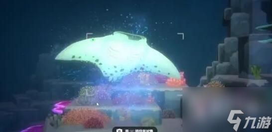 潜水员戴夫拍照方法技巧分享