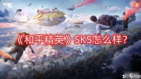 《和平精英》SKS怎么样 SKS狙击枪详细介绍