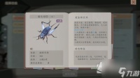 《沉默的蟋蟀》中后期玩法技巧心得