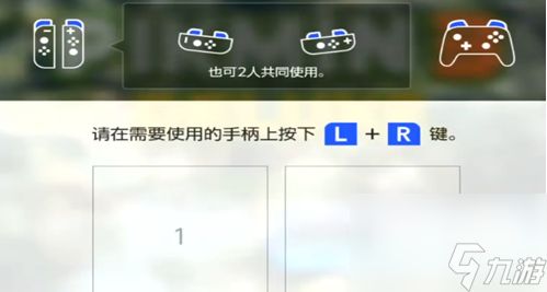 皮克敏双人模式怎么丢队友