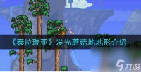 泰拉瑞亚发光蘑菇地地形介绍 泰拉瑞亚内容推荐