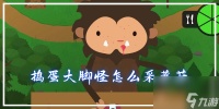 捣蛋大脚怪怎么采蘑菇 捣蛋大脚怪采蘑菇攻略