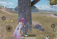 和平精英实用的有什么技巧 和平精英技巧说明