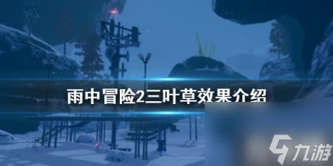 <a id='link_pop' class='keyword-tag' href='https://www.9game.cn/yzmx2/'>雨中冒险2</a>三叶草有什么用