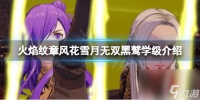 《火焰纹章风花雪月无双》阵营怎么选择 黑鹫学级介绍