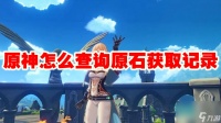 原神怎么查询原石获取记录