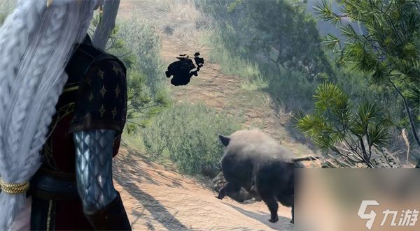 博德之门3开局野猪介绍