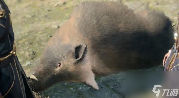 博德之门3开局野猪介绍
