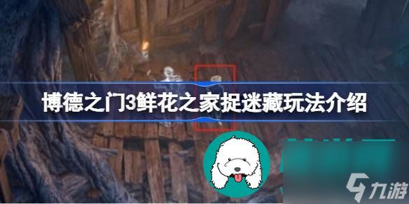 博德之门3鲜花之家捉迷藏玩法详细介绍-博德之门3鲜花之家捉迷藏玩法一览