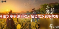 逆水寒手游双人轻功成双怎么获取