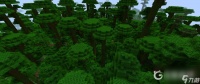 我的世界丛林一般在什么坐标   我的世界端游