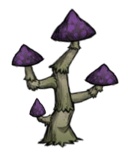 《饥荒联机版》毒菌蟾蜍孢子帽处理方法介绍