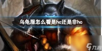 《魔兽世界》乌龟服查看hc方法