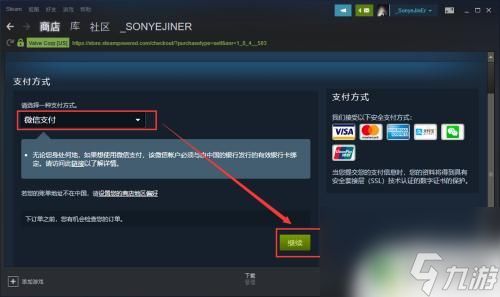 steam平台购买游戏玩游戏 在Steam上如何购买游戏