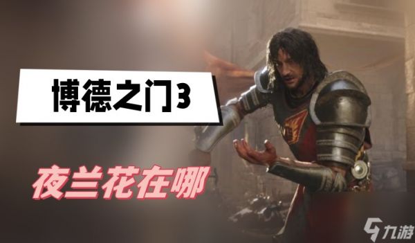博德之门3夜兰花在哪-夜兰花位置介绍