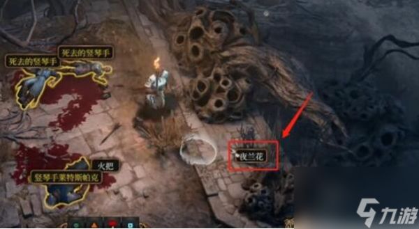 博德之门3夜兰花在哪-夜兰花位置介绍