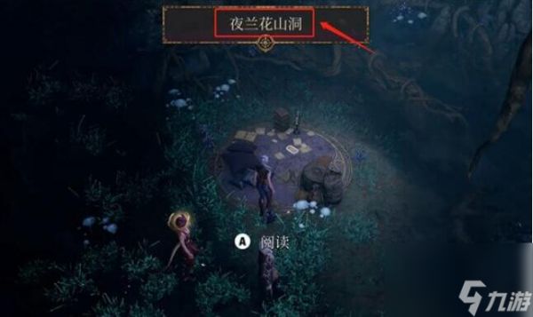博德之门3夜兰花在哪-夜兰花位置介绍