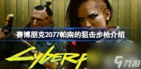获取方法  赛博朋克2077帕南的狙击步枪详解