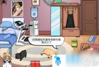 汉字找茬王猪猪新娘关卡怎么过-猪猪新娘关卡速通攻略