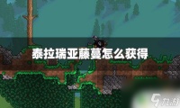 泰拉瑞亚灾厄藤蔓怎么获取 泰拉瑞亚游戏中藤蔓的获取途径详解
