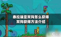 泰拉瑞亚双沟抓 泰拉瑞亚双钩怎么获取