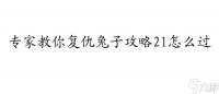 复仇兔子攻略21怎么过 - 专家指导教你通关方法