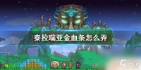 泰拉瑞亚金血果怎么挖 《泰拉瑞亚》怎么获取金血条