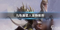 《魔兽世界》乌龟服猎人宠物推荐介绍