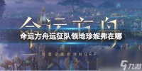 《命运方舟》远征队领地珍妮弗在哪里