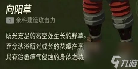 塞尔达传说王国之泪老奶奶治病药方是什么一览