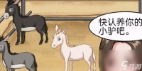 《隐秘的档案》认养一头驴怎么玩