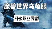 魔兽世界乌龟服厉害的职业推荐