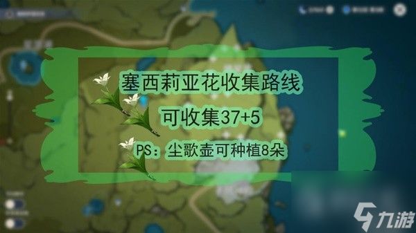 原神4.1版本温迪突破材料收集攻略